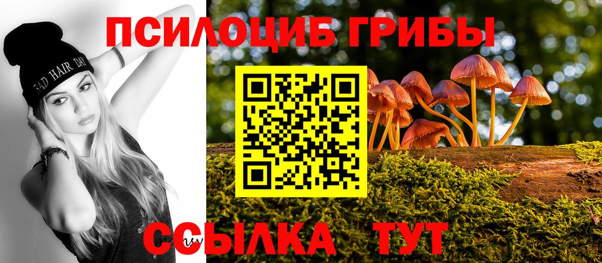 Псилоцибиновые грибы мицелий Аргун