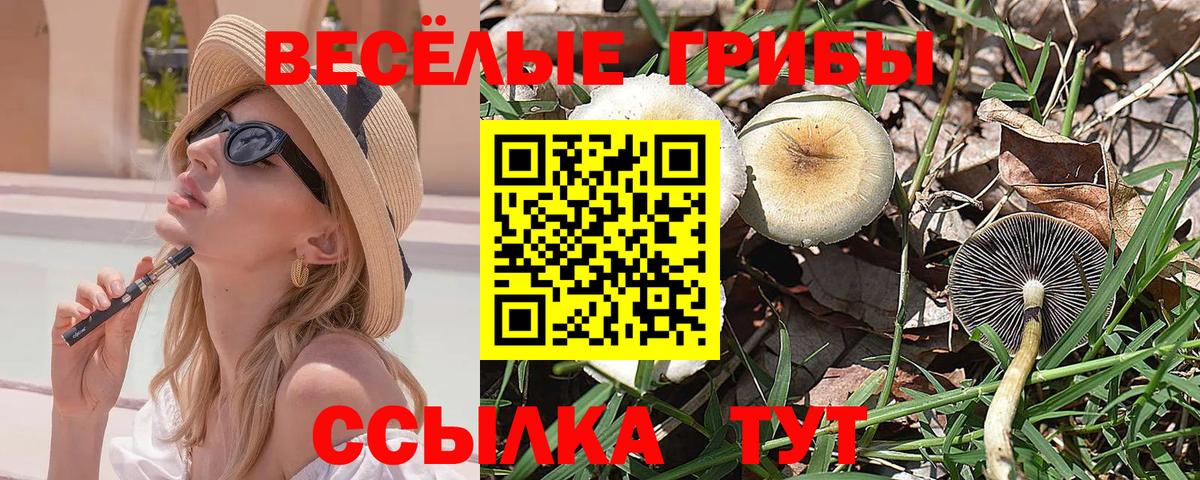 где найти наркотики  Вход с VPN  Аргун  Псилоцибиновые грибы Psilocybine cubensis  Псилоцибиновые грибы Magic Shrooms 